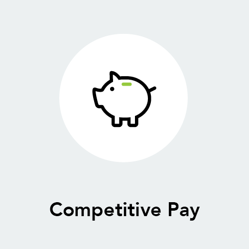 Competitive Pay Icon
